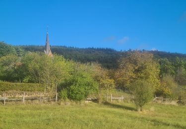Trail Walking Eckartswiller - Saint-Michel & Daubenschlag - Photo