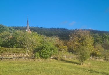 Randonnée Marche Eckartswiller - Saint-Michel & Daubenschlag - Photo