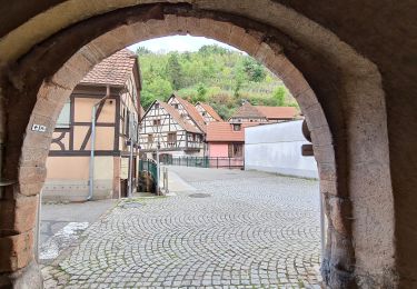 Excursión Senderismo Andlau - 2022-09 Boucle Andlau - Château du Haut-Andlai - Château de Spesbourg - Photo