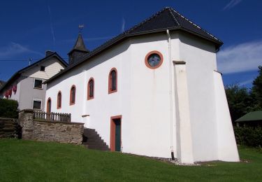 Trail On foot Hellenthal - Gebirgsstelzen- und Schwarzstorchpfad - Photo