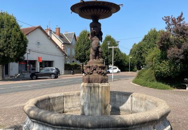 Tocht Stappen La Charité-sur-Loire - La charité chemin de Compostelle - Photo