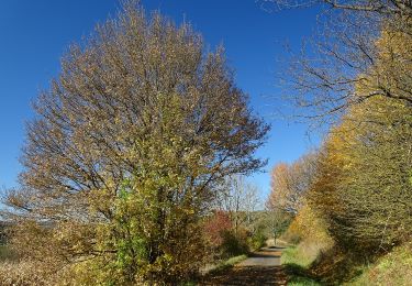 Trail On foot Heiligenstadt - Ringweg Schwedenfelsen - Rotenstein - Photo