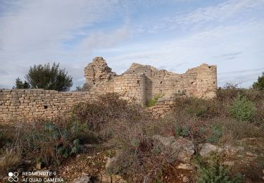 Excursión Senderismo Laudun-l'Ardoise - 30 camp de César 12/07/23 - Photo