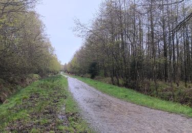 Trail Walking Spa - de la Sauveniere à la Reine, autour de Malchamps  - Photo