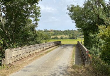 Tour Wandern Miramont-Sensacq - GR 65 Miramont Sensacq > Arzacp - Photo
