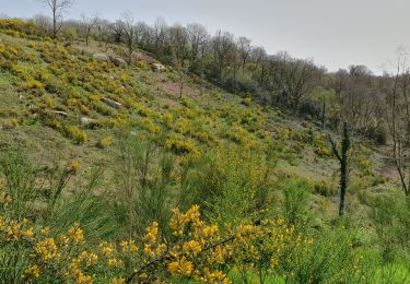 Tour Wandern Saint-Nicolas-du-Pélem - Le Faoudel par la droite - Photo