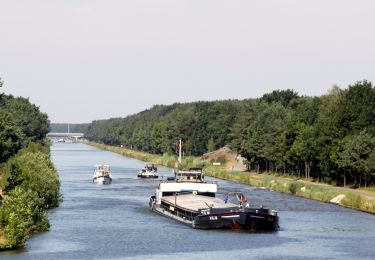 Randonnée A pied Lommel - Heuvelse Heide Groene rechthoek - Photo