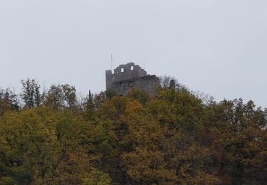 Trail Walking Waldkirch - Waldkirch - grande boucle des ruines du Schwanzenberg - Photo