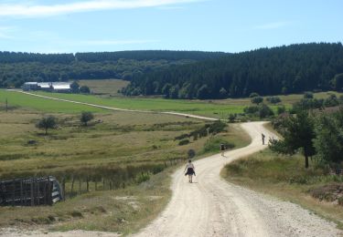 Trail Walking Grèzes - CC_Velay_AC_03_Grezes_St-Alban-Limagnole_20060823 - Photo
