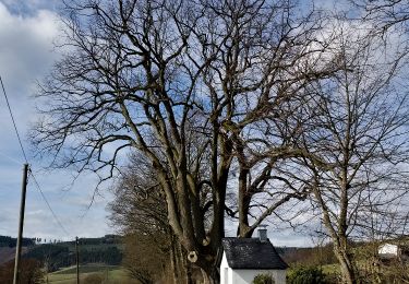 Randonnée A pied Olsberg - Elpe Rundweg E1 - Photo