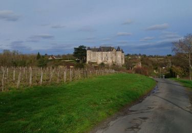 Randonnée Marche Saint-Étienne-de-Chigny - Saint-Étienne-de-Chigny - le Vieux Bourg - Luynes - 15.8km 285m 3h30 - 2024 02 28 - Photo