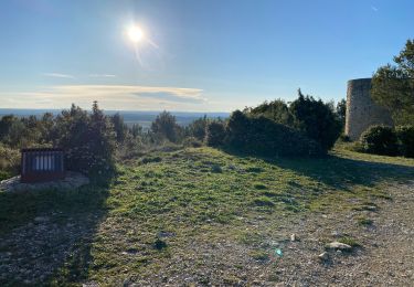 Trail Mountain bike Caveirac - Caveirac voie verte - Photo