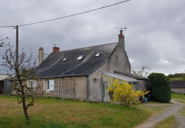 Trail Walking Blaison-Saint-Sulpice - Blaison-Gohier - Photo
