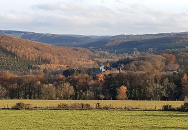 Tour Wandern Érezée - fisenne - Photo