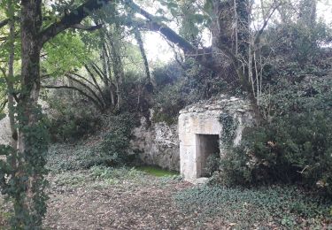 Randonnée Marche Touffailles - touffailles  - Photo