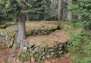 Trail Walking Saint-Dié-des-Vosges - 2019-03-07 Marche Montée des Schlitteurs - Photo