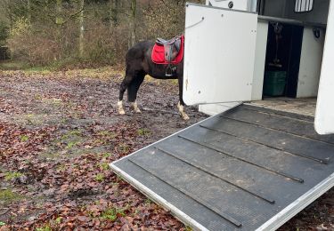 Tour Reiten Bièvre - Graide manege 10km ZZW - Photo