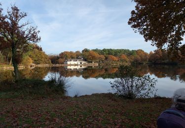 Tour Wandern Vay - la voie romaine etang de la roche - Photo