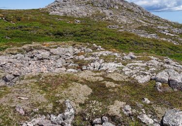 Tour Wandern Saint-Pierre - trepieds - Photo