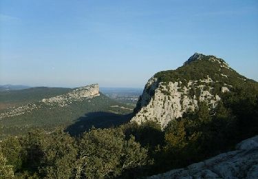 Trail Walking Cazevieille - Le Pic Saint Loup - Photo