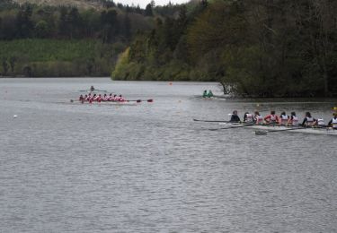 Percorso A piedi Sconosciuto - Castlewellan Forest Park - Slievenaslat Walk - Photo