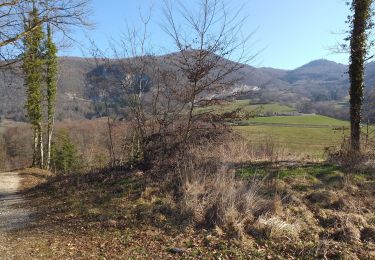 Tocht Stappen Nans-sous-Sainte-Anne - Nans sous st Anne 