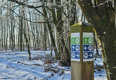 Tocht Stappen Sankt Vith - Rodt - BierMuseum ❄️ - Photo