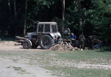 Tocht Te voet Piliscsaba - K↺ (Piliscsaba, Klotildliget, Dévényi Antal utca - Posta-réti-erdő - Piliscsaba, Klotildliget, Dévényi Antal utca) - Photo