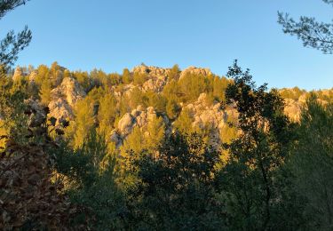 Tocht Stappen Beaurecueil - Sentier Imoucha - Photo