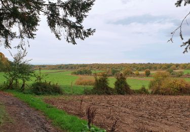 Randonnée Marche Beauraing - Balade de Pondrôme à Revogne - Photo