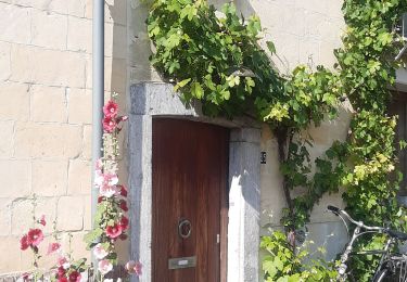 Randonnée Marche Riemst - kanne . château st pieter . retour via montagne St Pierre  - Photo
