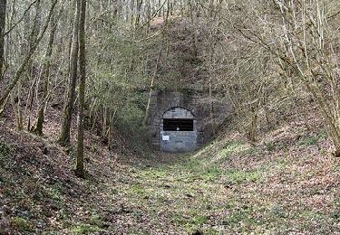 Tocht Te voet Cerfontaine - Balades sur nos anciennes lignes ferroviaires ligne L136b et 132 - Photo