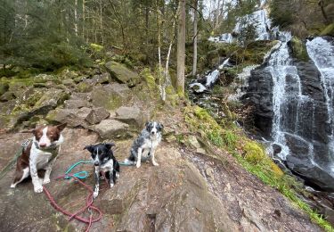 Tour Wandern Le Tholy - Les 2 cascades du Tendon (grand tour) - Photo