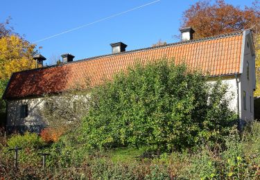 Tour Zu Fuß  - Jungfrusundsåsen 10km motionsspår - Photo