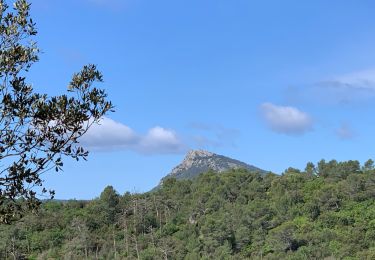 Tocht Stappen Villeneuvette - Autour de la Portanelle - Photo