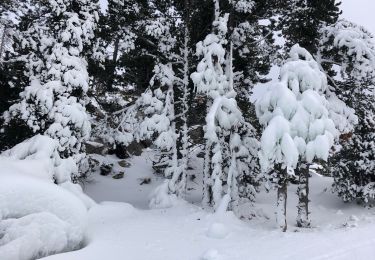 Trail Snowshoes Font-Romeu-Odeillo-Via - 20210107 raquettes à Pyrenee 2000 - Photo