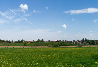 Percorso A piedi Iffeldorf - Osterseen-Wanderweg 5 - Photo