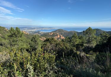 Tocht Stappen Saint-Raphaël - Au départ du Trayas  - Photo