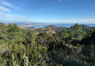 Excursión Senderismo Saint-Raphaël - Au départ du Trayas  - Photo