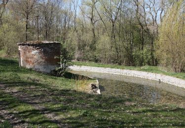 Percorso A piedi Nadějkov - Naučná stezka Nadějkovsko - Photo