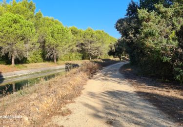 Percorso Marcia Lunel - lunel_tour_de_farge - Photo