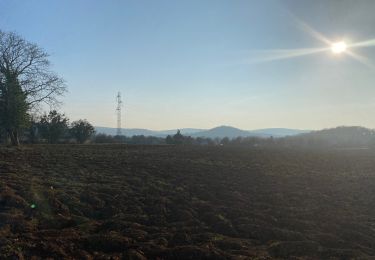 Trail Walking Coulevon - VILLEPAROIS  -bellenoye- colombier -villeparois - Photo