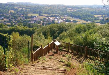 Tocht Noords wandelen Volvic - Sommet du Puy de Paugnat  - Photo
