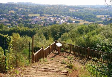 Randonnée Marche nordique Volvic - Sommet du Puy de Paugnat  - Photo