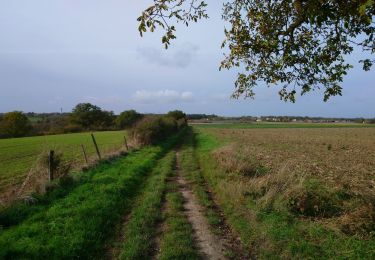 Tocht Stappen Artannes-sur-Indre - Artannes-sur-Indre - PRs Lavandières et Vallée du Lys - 25.4km 310m 5h45 (25mn) - 2023 11 11 - Photo