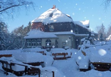 Tocht Te voet Wernigerode - DE-grünes Dreieck - Photo