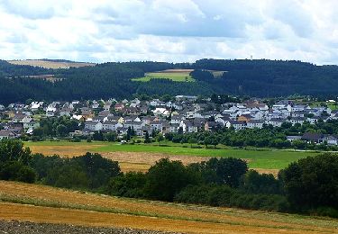 Randonnée A pied Rhaunen - Traumschleife Stumm-Orgel-Weg - Photo