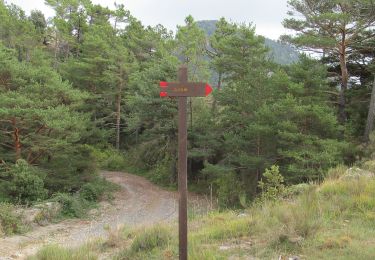 Tocht Te voet Dolceacqua - La Colla - Colla Sgora - Photo