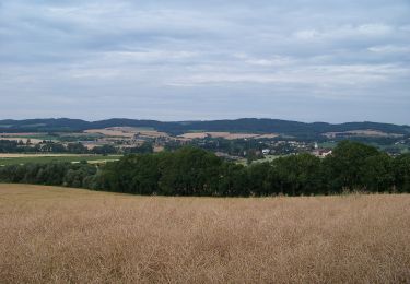 Excursión A pie Sedlec-Prčice - NS Od Vítkovské růže k zázračnému prameni - Photo