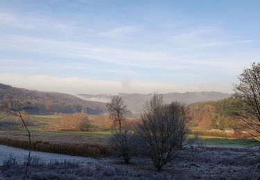 Randonnée Marche Vresse-sur-Semois - Balade de Membre à Laforêt - Photo